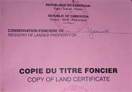 Sécurisation du Titre Foncier : Morceaux choisis des déclarations du président de la chambre judiciaire de la Cour Suprême, le 23 février 2022